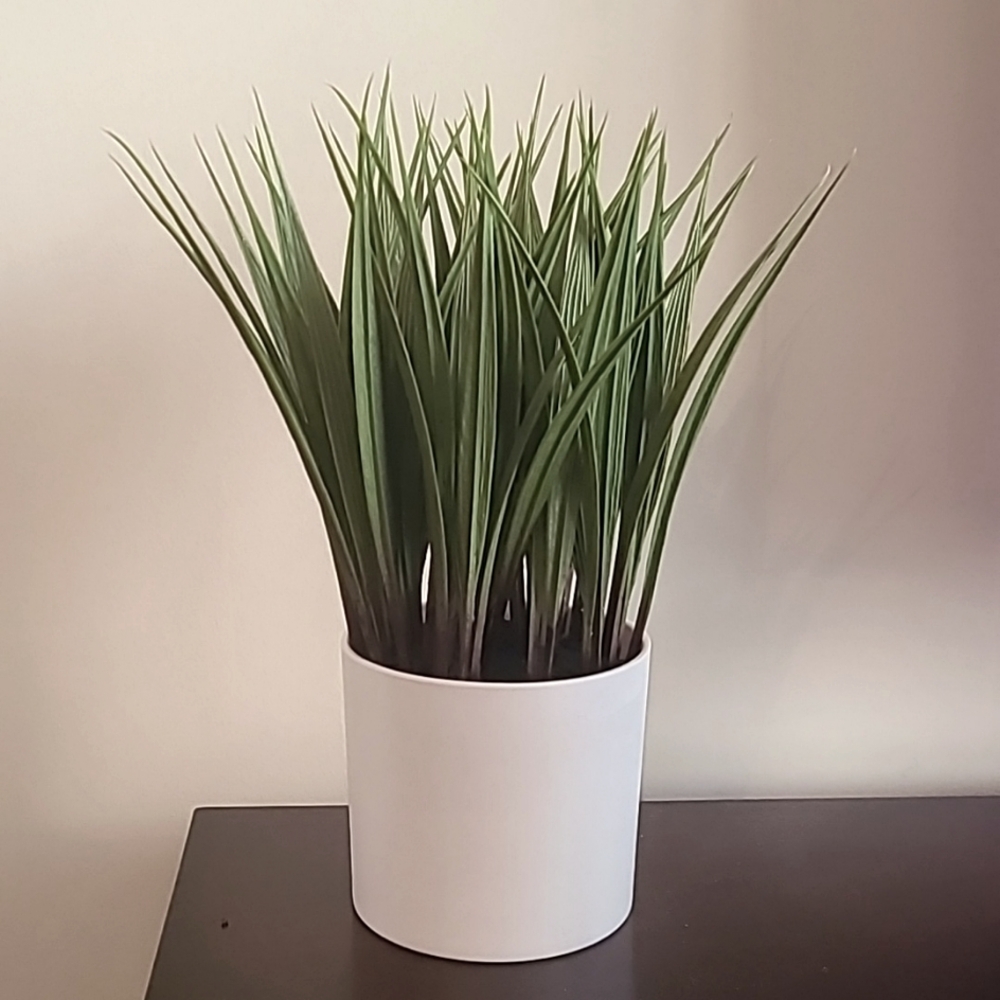 Potted Faux Plant Target NEW